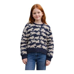 Hysport Charcoal Gray Koala Bear Wool Sweater